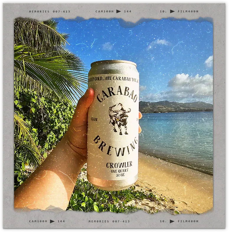 A Carabao crowler held up against a Guam beach